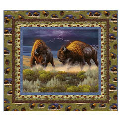 WILD BISON 